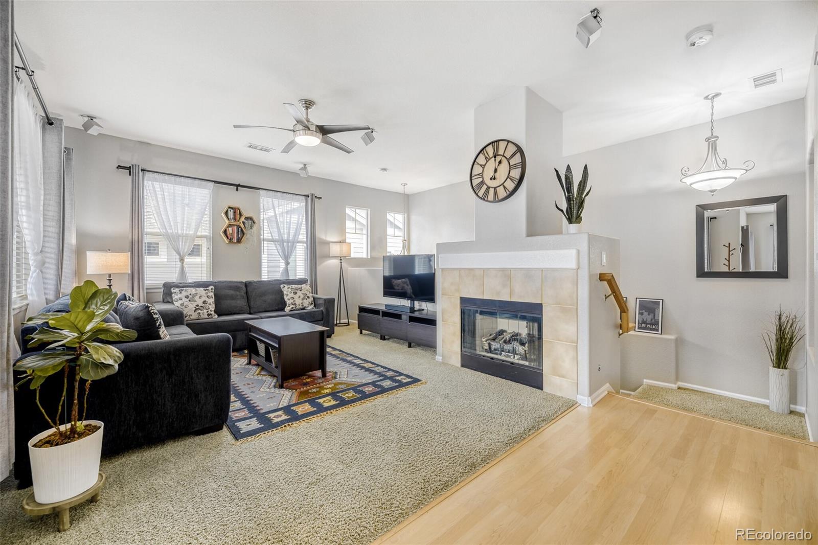 176 Whitehaven Circle Highlands Ranch, CO 80129 - Photo 4 of 31