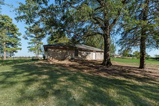 a view of a tree in a yard