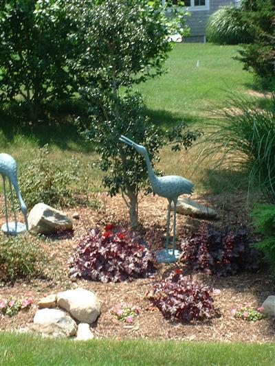 43 Ruggles Road Orleans, MA 02653 - Photo 21 of 22 a view of a garden with plants and a bench