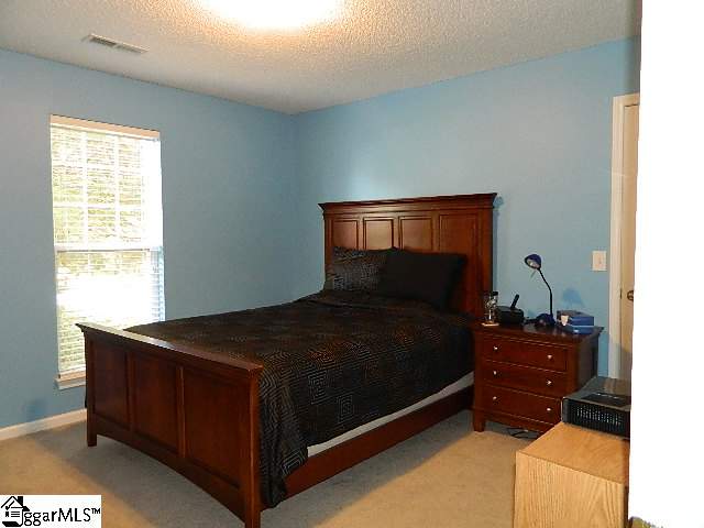204 Poplar Ridge Road Simpsonville, SC 29681 - Photo 19 of 25 Gallery Image 19