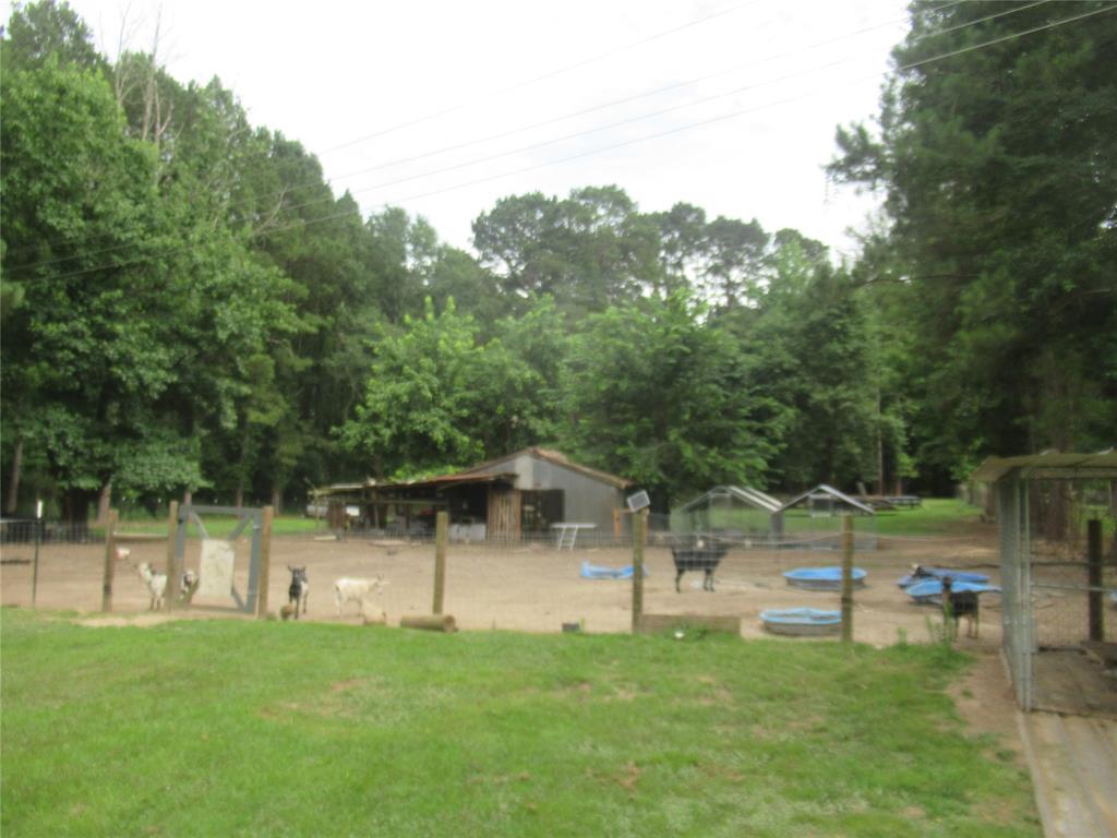 24133 Highway 157 Springhill, LA 71075 - Photo 6 of 19 fenced in back yard