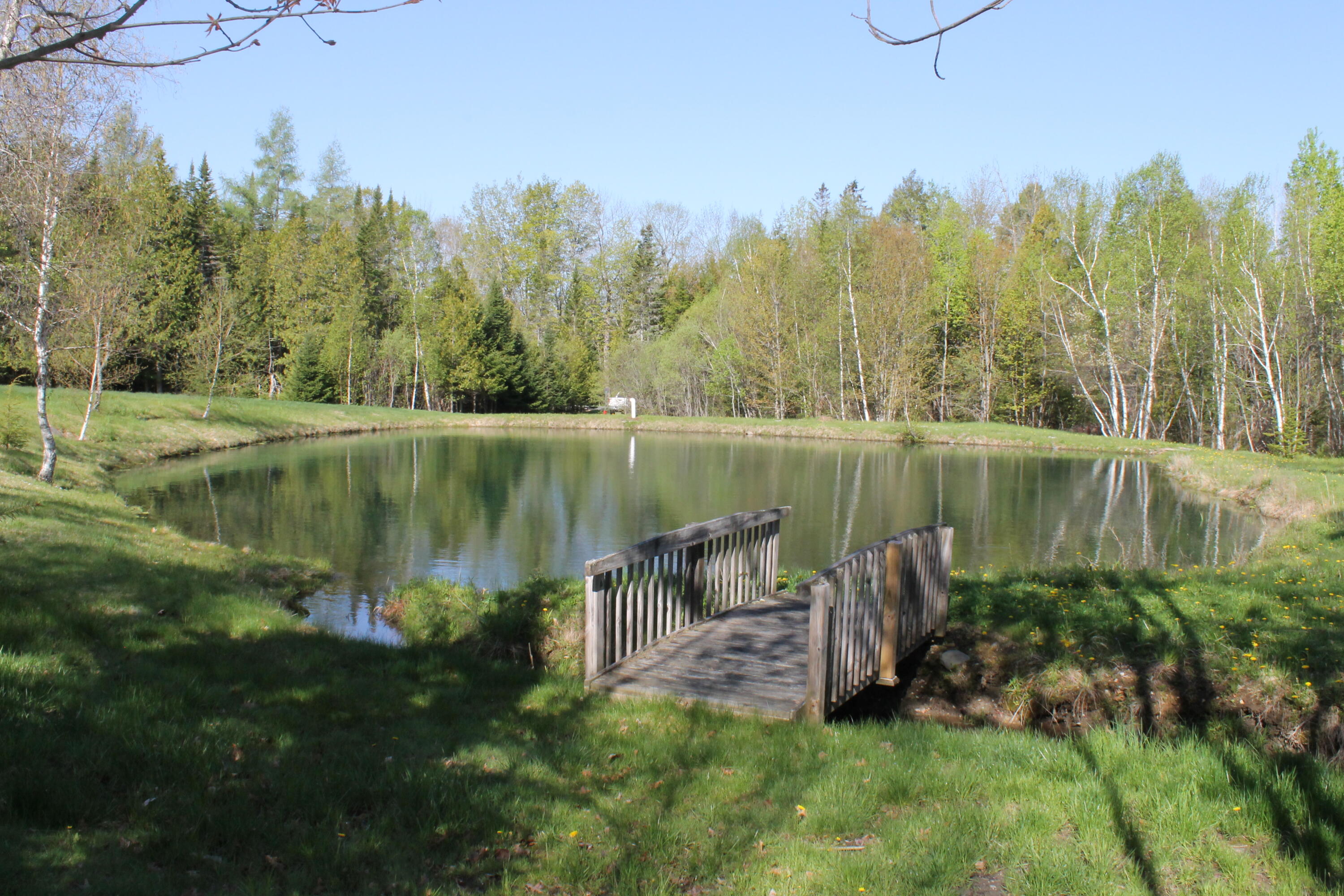 766 North Palermo Road Freedom, ME 04941 - Photo 6 of 29 Pond