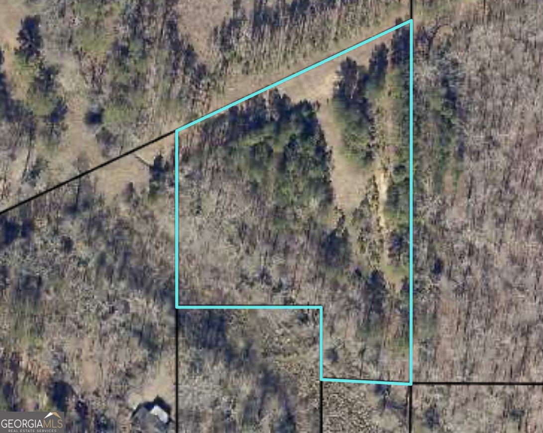 0 Jones Road Milner, GA 30257 - Photo 1 of 1