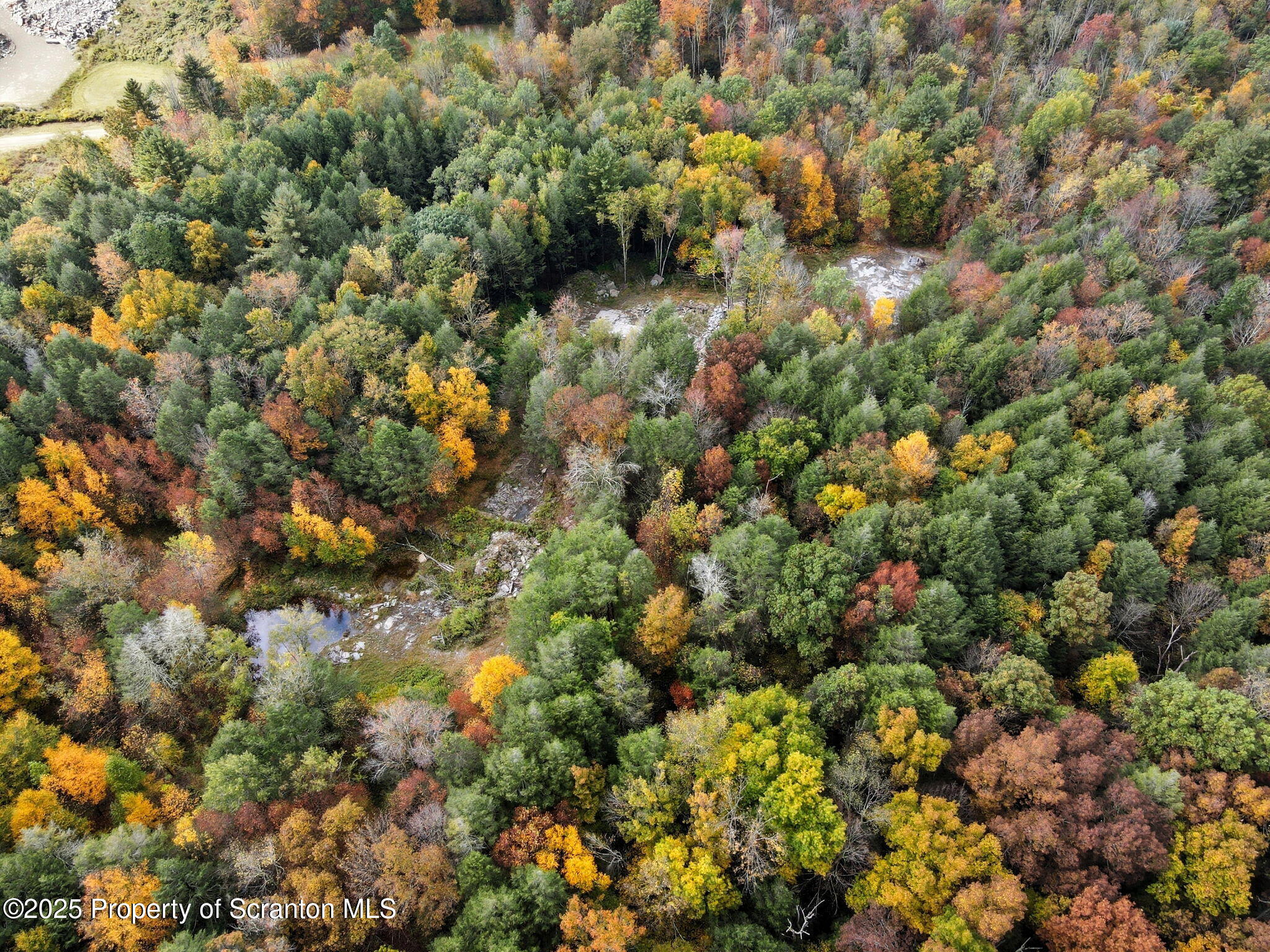 505 Creek Road Kingsley, PA 18826 - Photo 40 of 61 a view of a forest