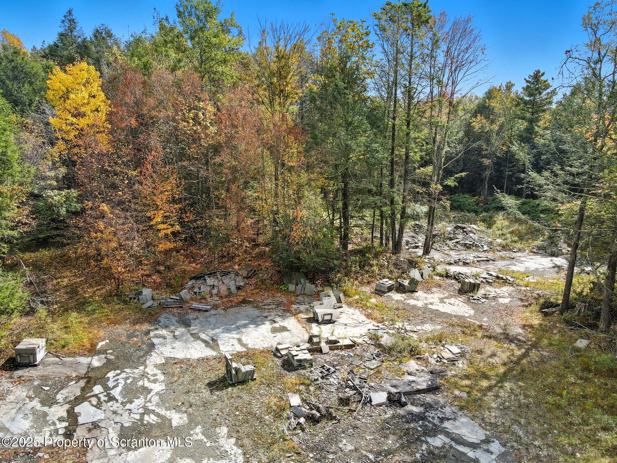 505 Creek Road Kingsley, PA 18826 - Photo 44 of 61 a view of a yard with plants and trees