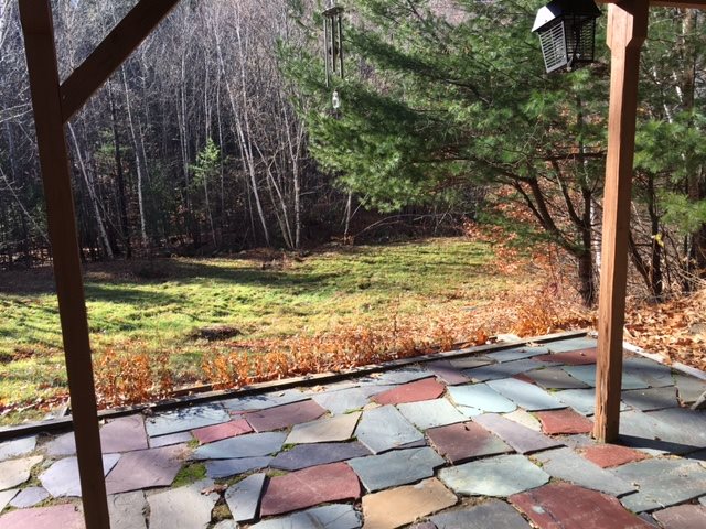 6 Cumberland Road, Unit 14 Gilford, NH 03249 - Photo 21 of 23