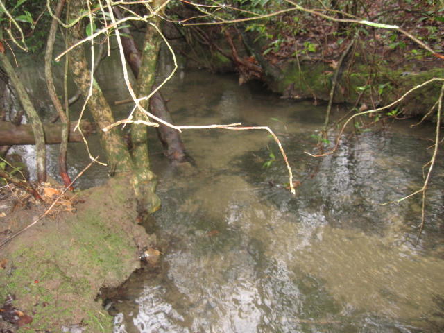 White Oak Road, Unit 1 Monterey, TN 38574 - Photo 4 of 6 creek crossing lot