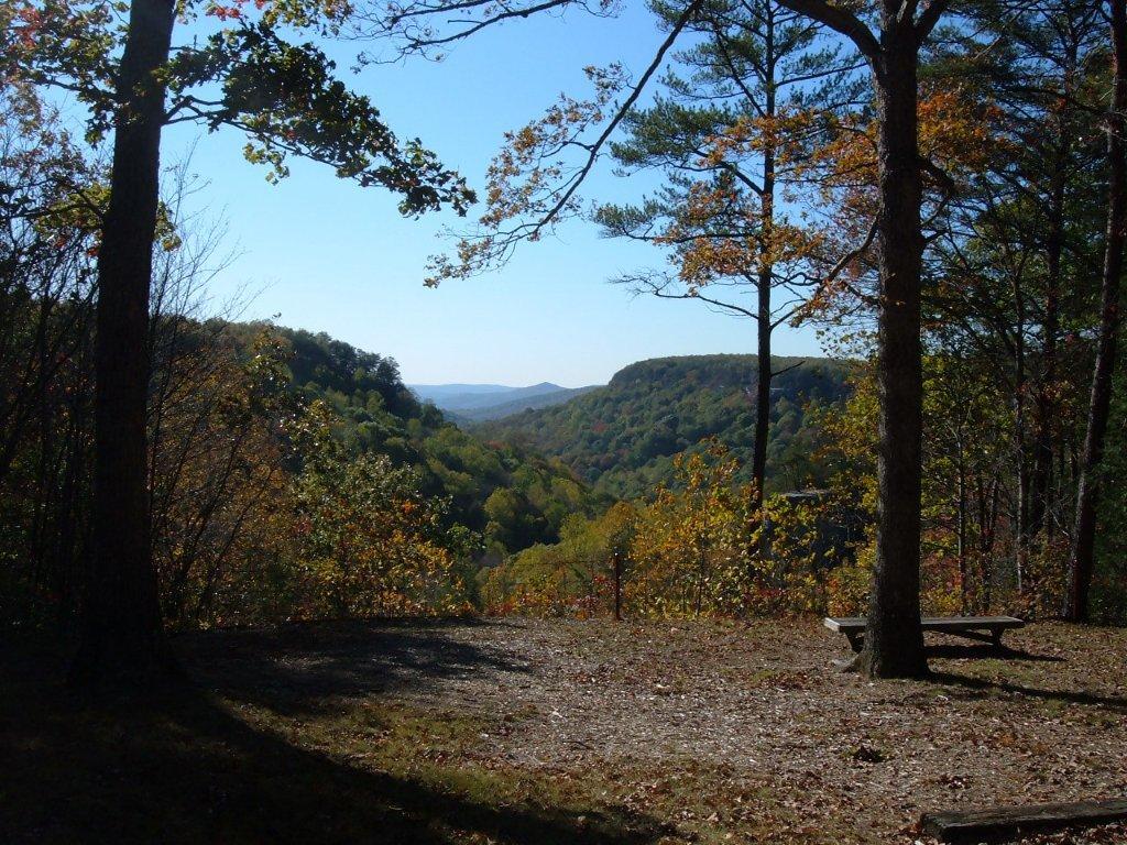 White Oak Road, Unit 1 Monterey, TN 38574 - Photo 6 of 6 795