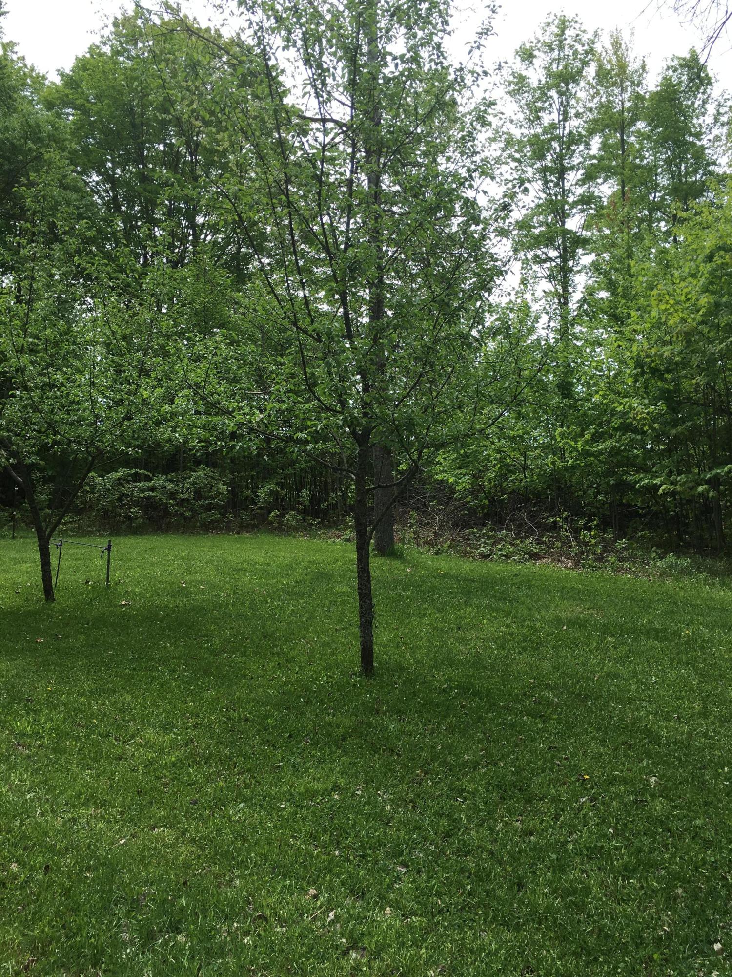 11449 Sherman Road Frederic, MI 49733 - Photo 22 of 30 Gallery Image 22