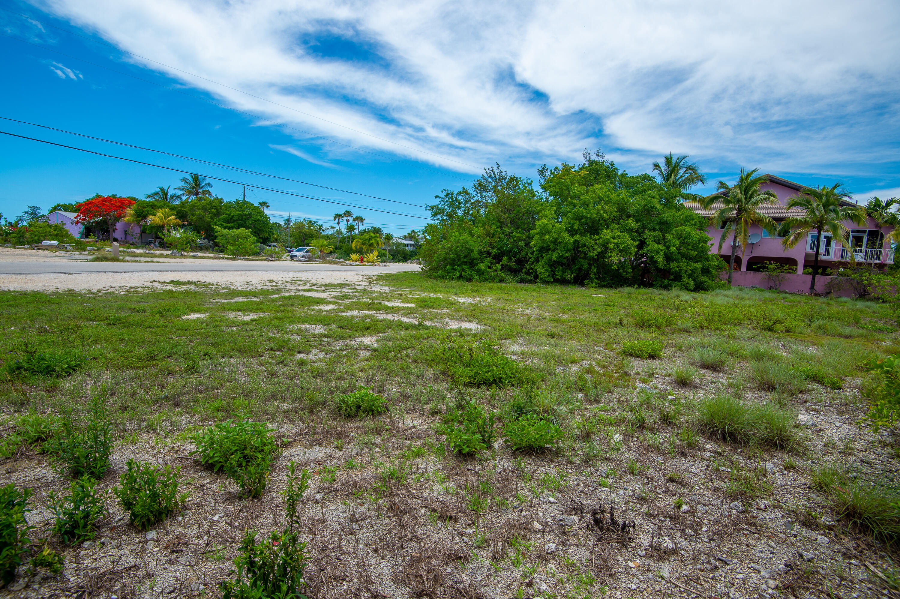199 Stirrup Key Boulevard Marathon, FL 33050 - Photo 13 of 24 a view of a garden with a building in the background