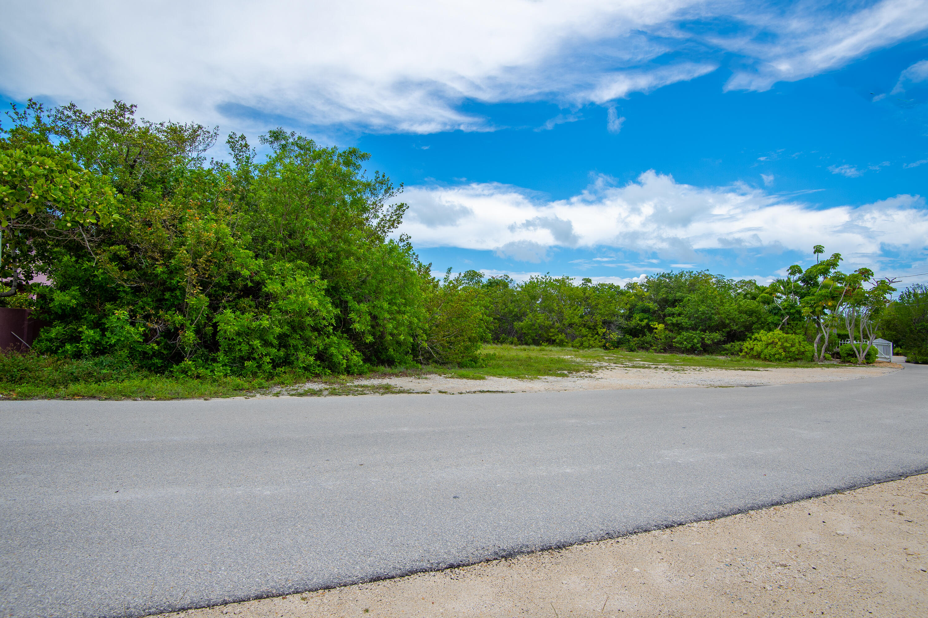 199 Stirrup Key Boulevard Marathon, FL 33050 - Photo 16 of 24 a view of a road with a yard