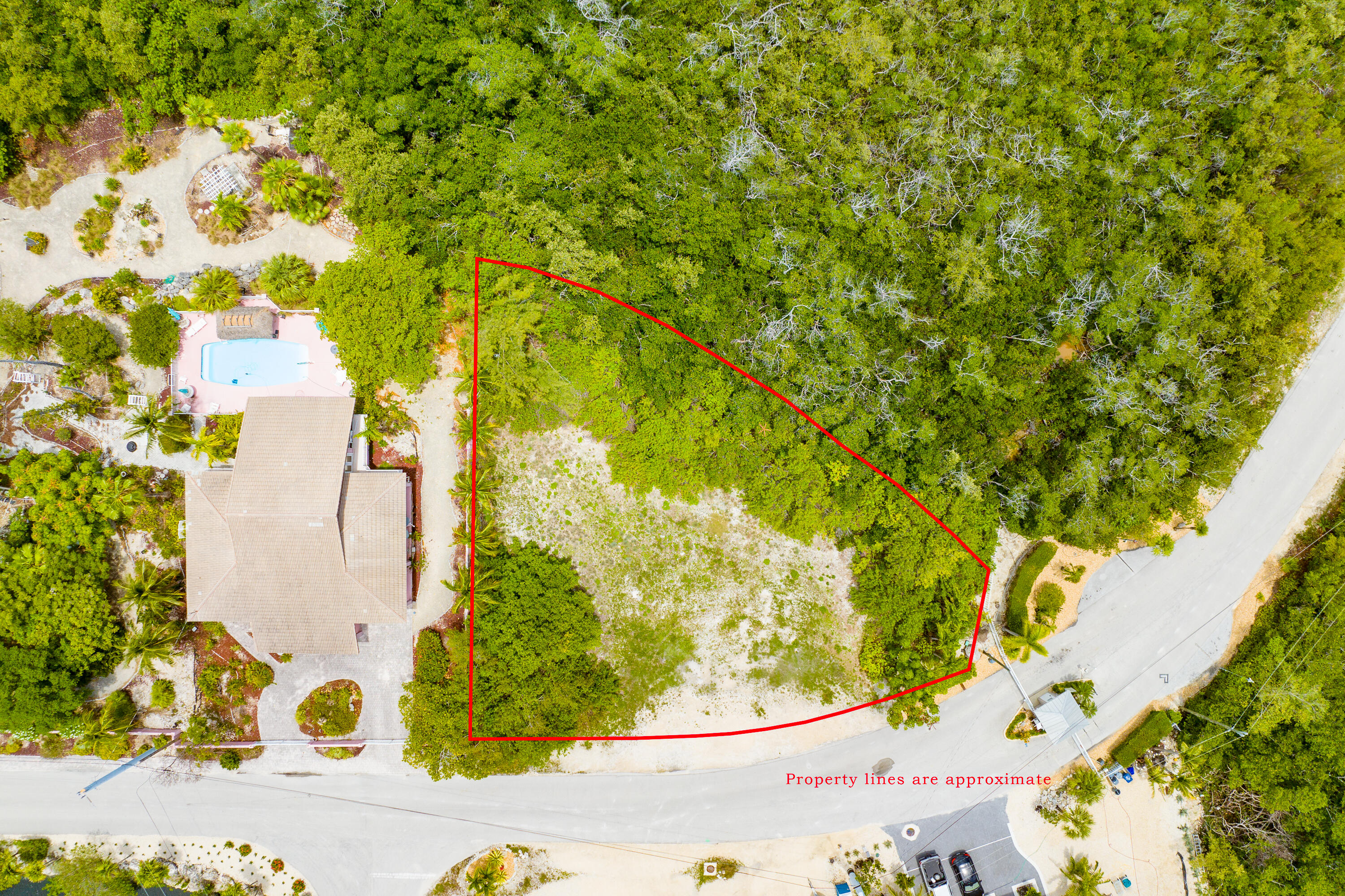 199 Stirrup Key Boulevard Marathon, FL 33050 - Photo 5 of 24 a picture of a tree