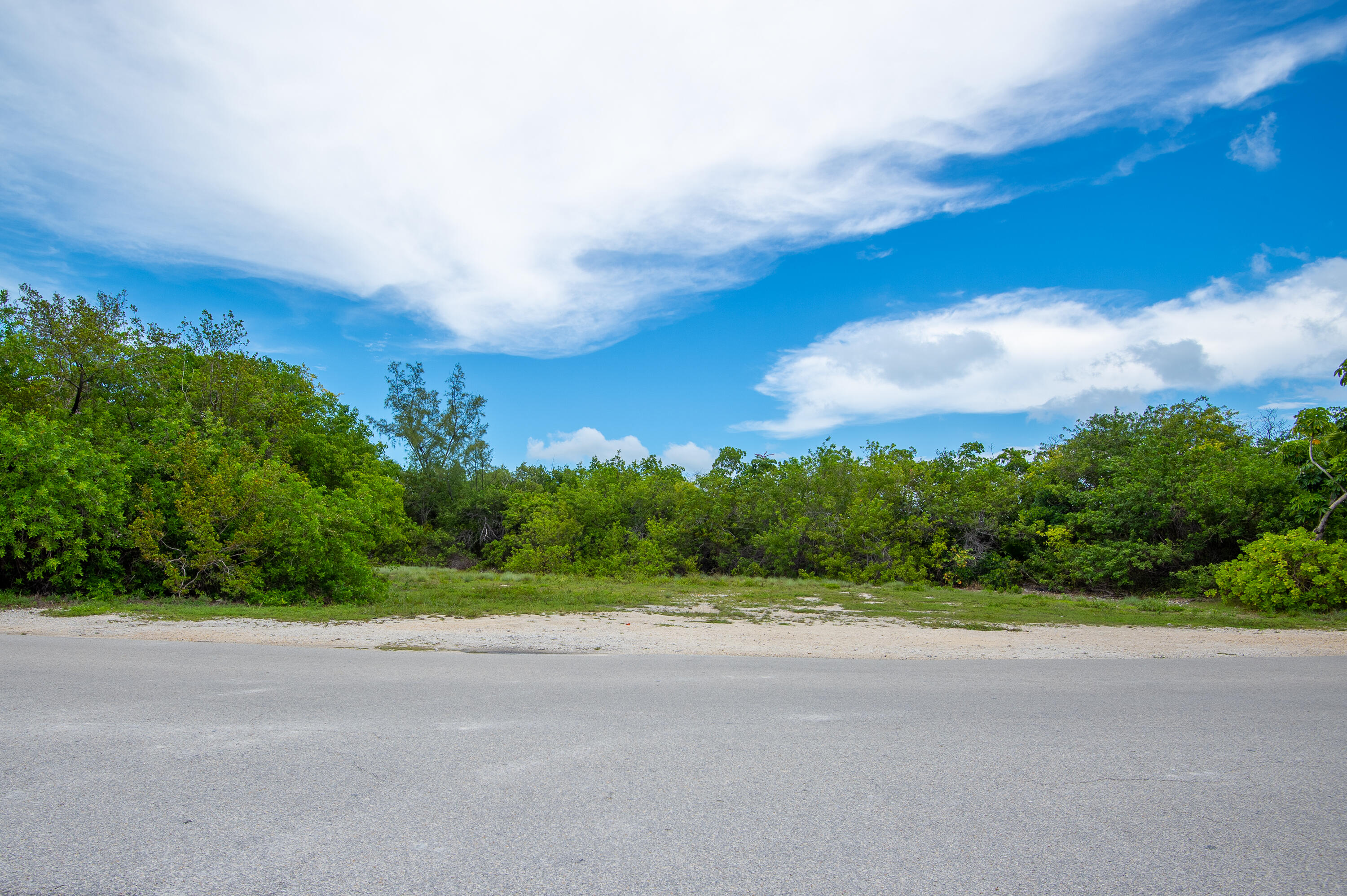 199 Stirrup Key Boulevard Marathon, FL 33050 - Photo 9 of 24 a view of a big yard with large trees