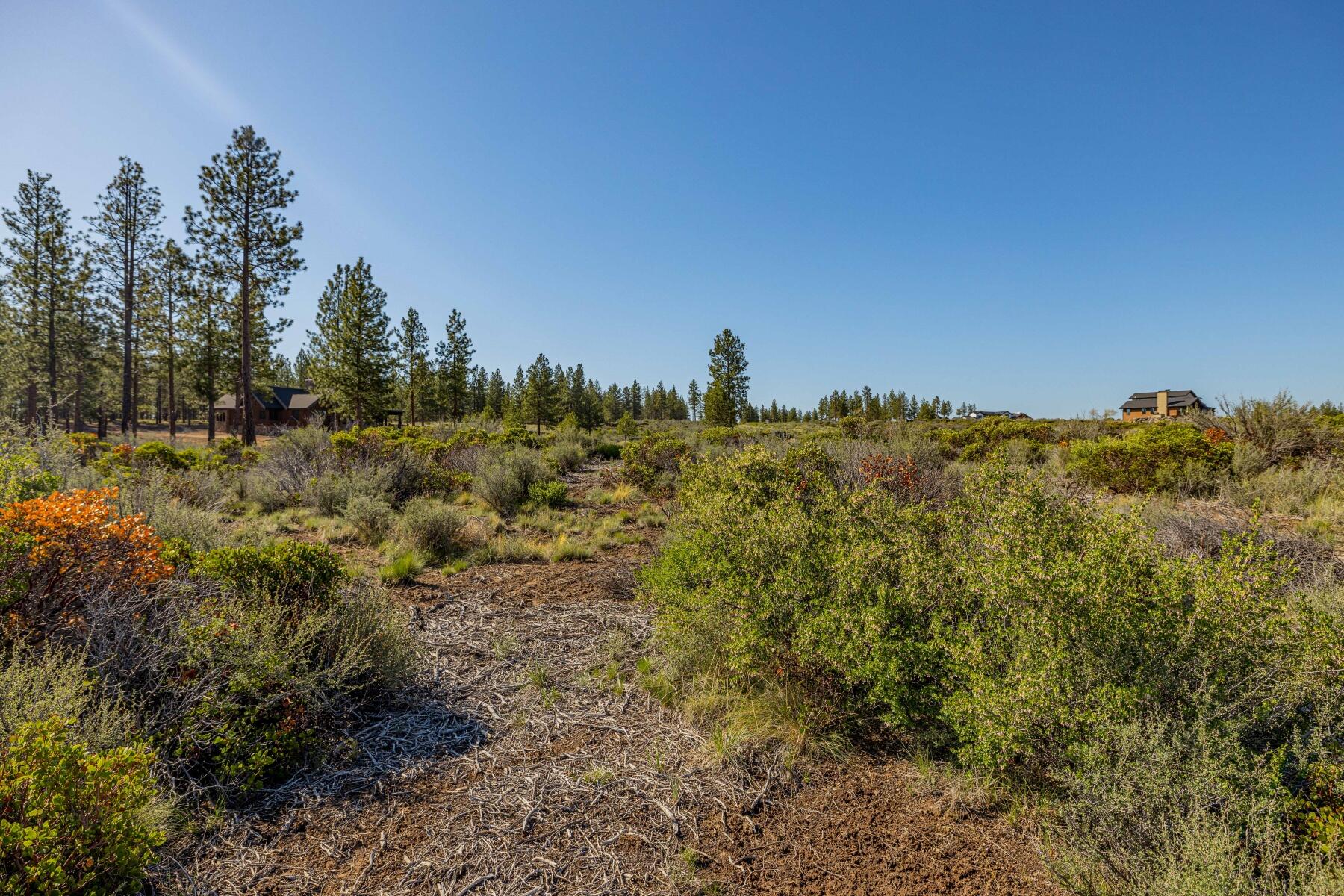 62545 Huntsman Loop Bend Bend, OR 97703 - Photo 11 of 21 batch_20