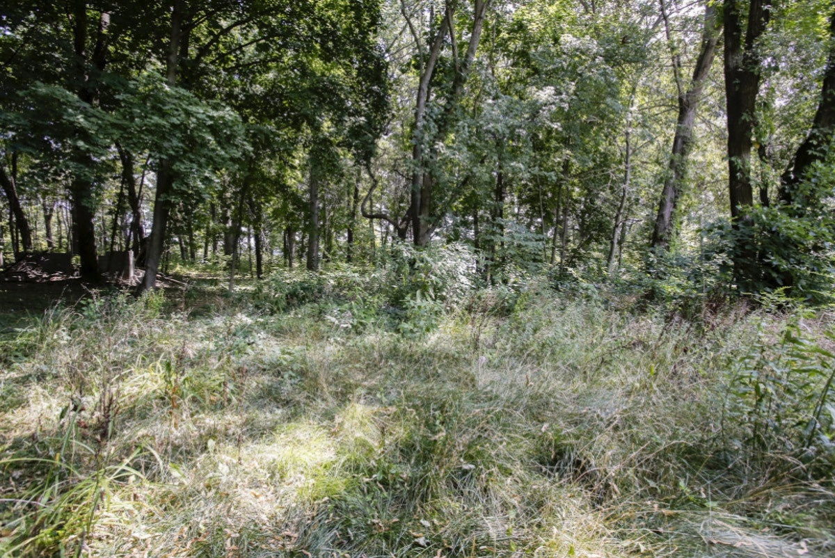 58039 Oak Park Road Three Rivers, MI 49093 - Photo 16 of 19 58039 oak park rd-116