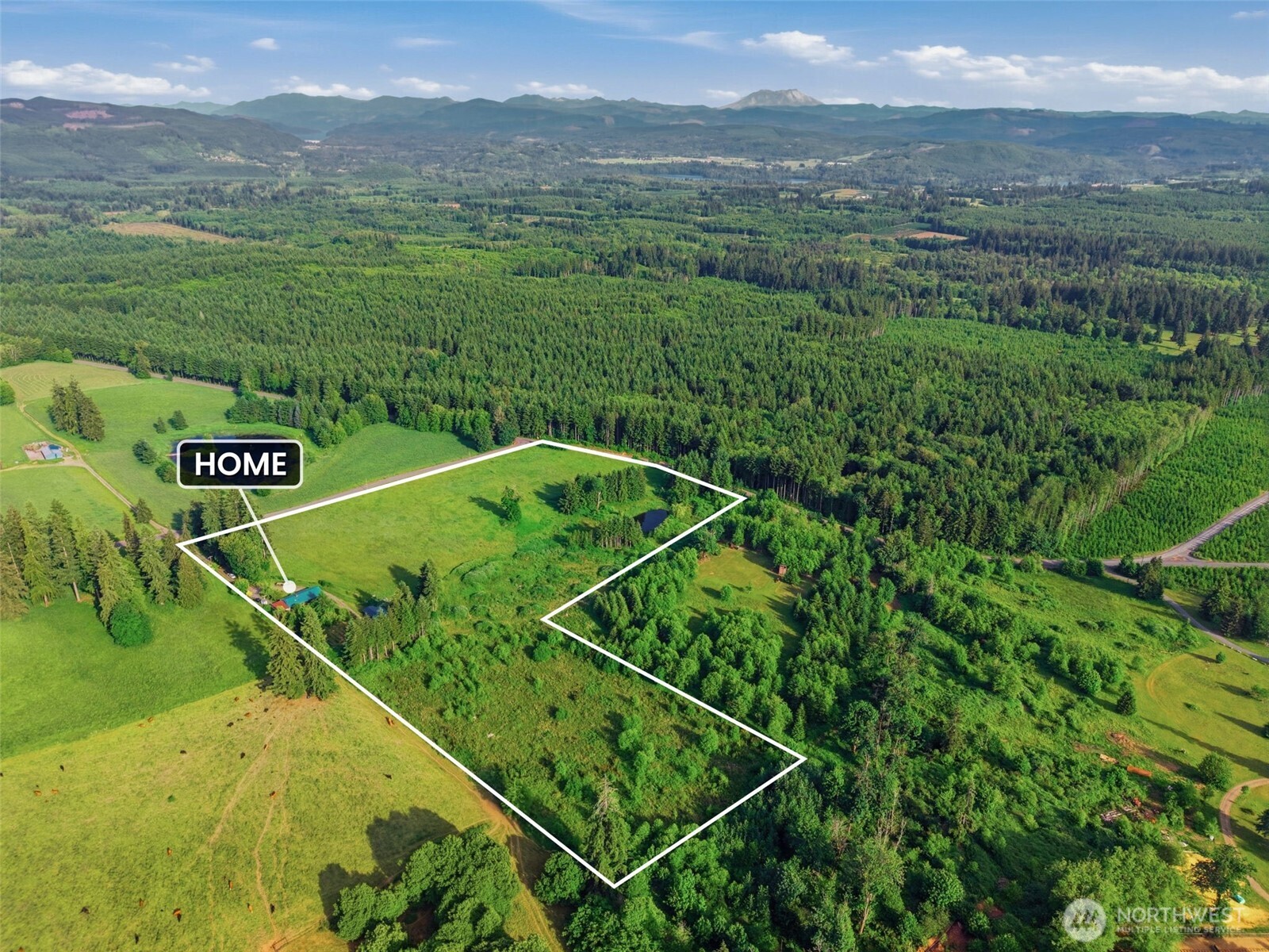 1058 Burnt Ridge Road Onalaska, WA 98570 - Photo 38 of 40