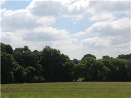 1174 Old Mack Road Clarksville, TN 37040 - Photo 3 of 19 Gallery Image 3