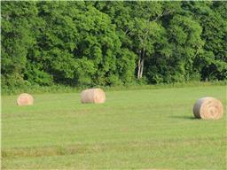 1174 Old Mack Road Clarksville, TN 37040 - Photo 9 of 19 Gallery Image 9