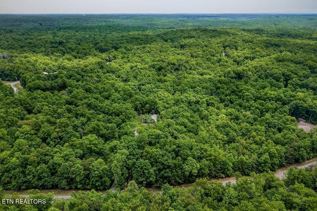 1507 East Overlook Road Monterey, TN 38574 - Photo 40 of 49 42
