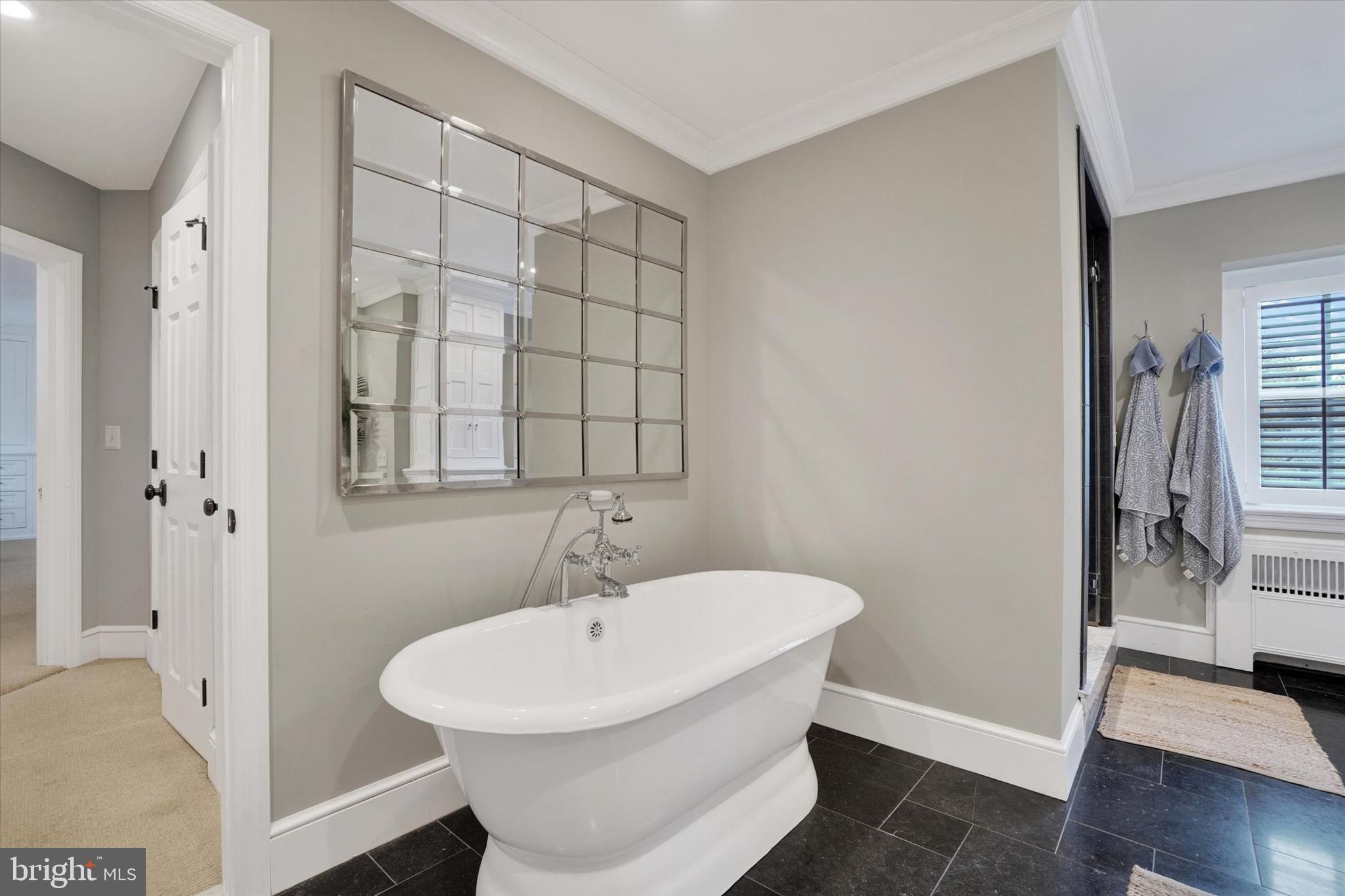 1029 Smallbrook Lane York, PA 17403 - Photo 34 of 64 Spa Style tub
