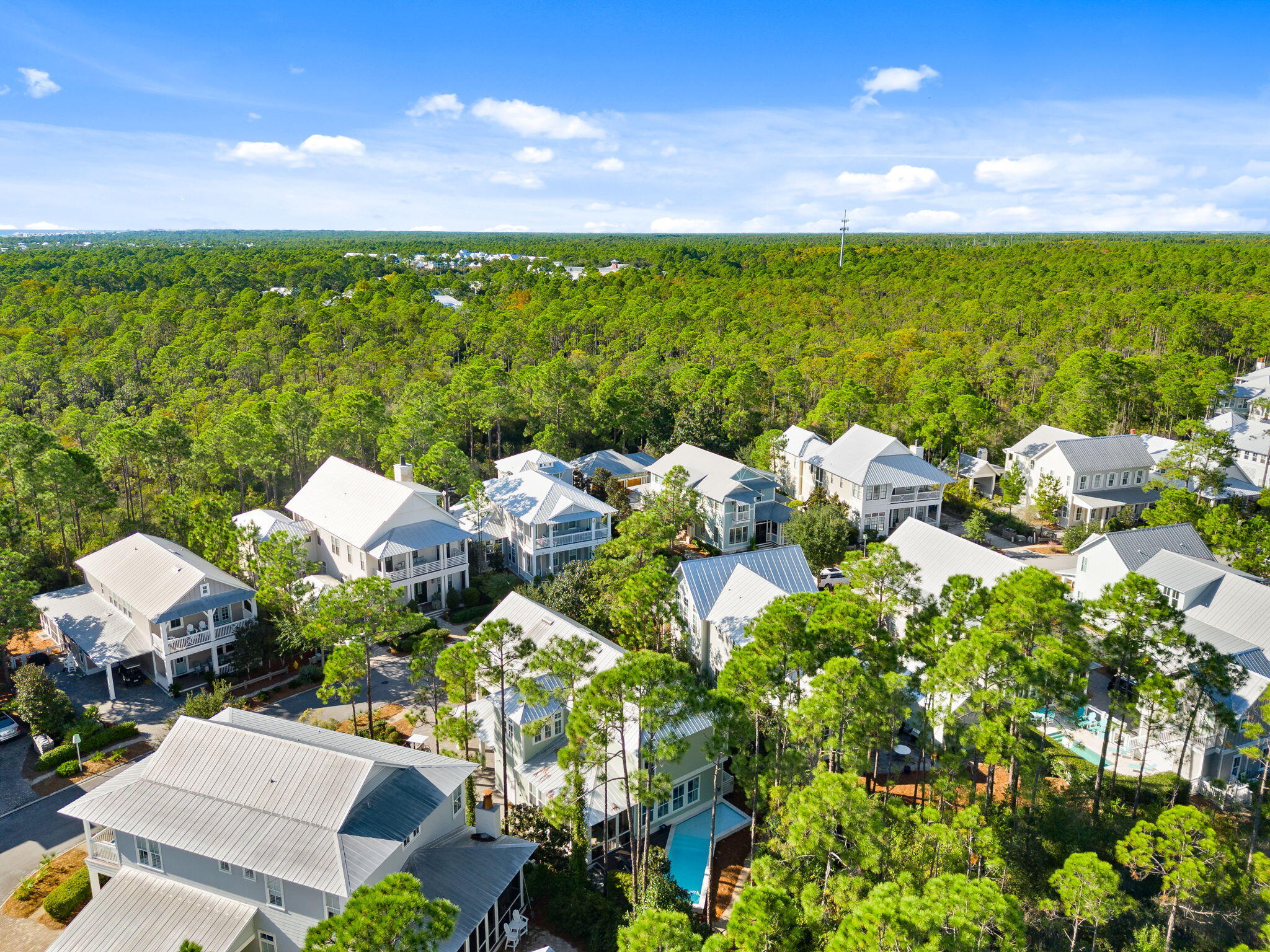 384 East Royal Fern Way Santa Rosa Beach, FL 32459 - Photo 53 of 63 a view of a lake