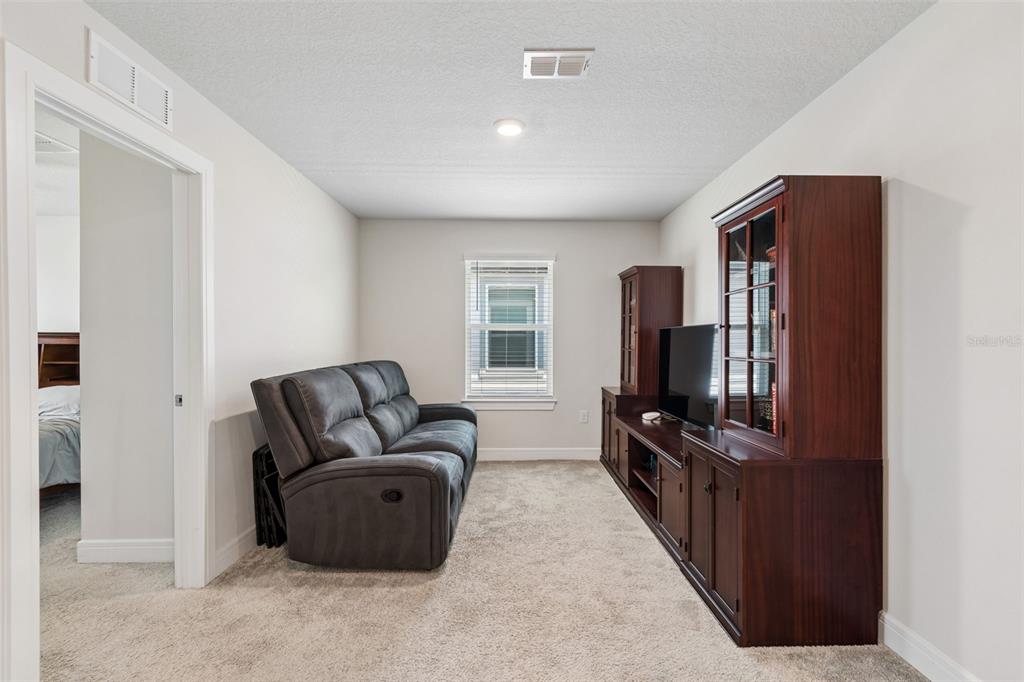 6608 Ryestone Way Wesley Chapel, FL 33545 - Photo 26 of 66 a living room with furniture and a flat screen tv