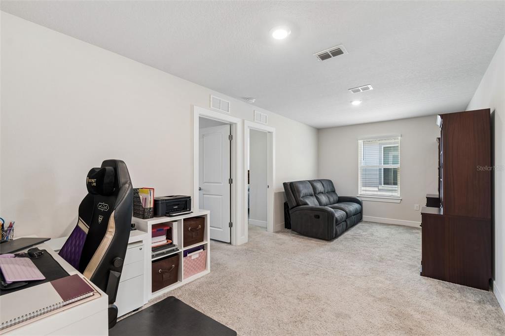 6608 Ryestone Way Wesley Chapel, FL 33545 - Photo 27 of 66 a living room with furniture and a couch