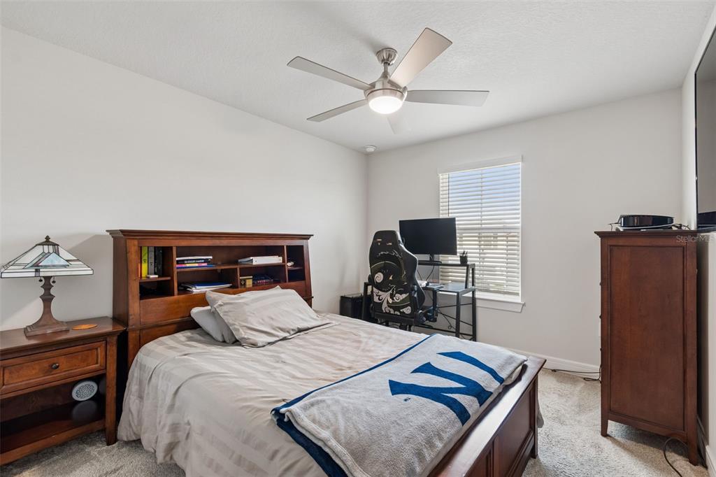 6608 Ryestone Way Wesley Chapel, FL 33545 - Photo 30 of 66 a bedroom with a bed and a flat screen tv