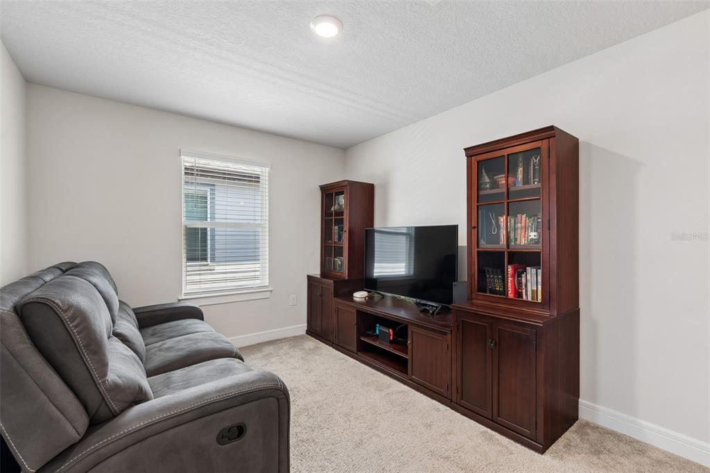 6608 Ryestone Way Wesley Chapel, FL 33545 - Photo 34 of 66 a living room with furniture and a flat screen tv