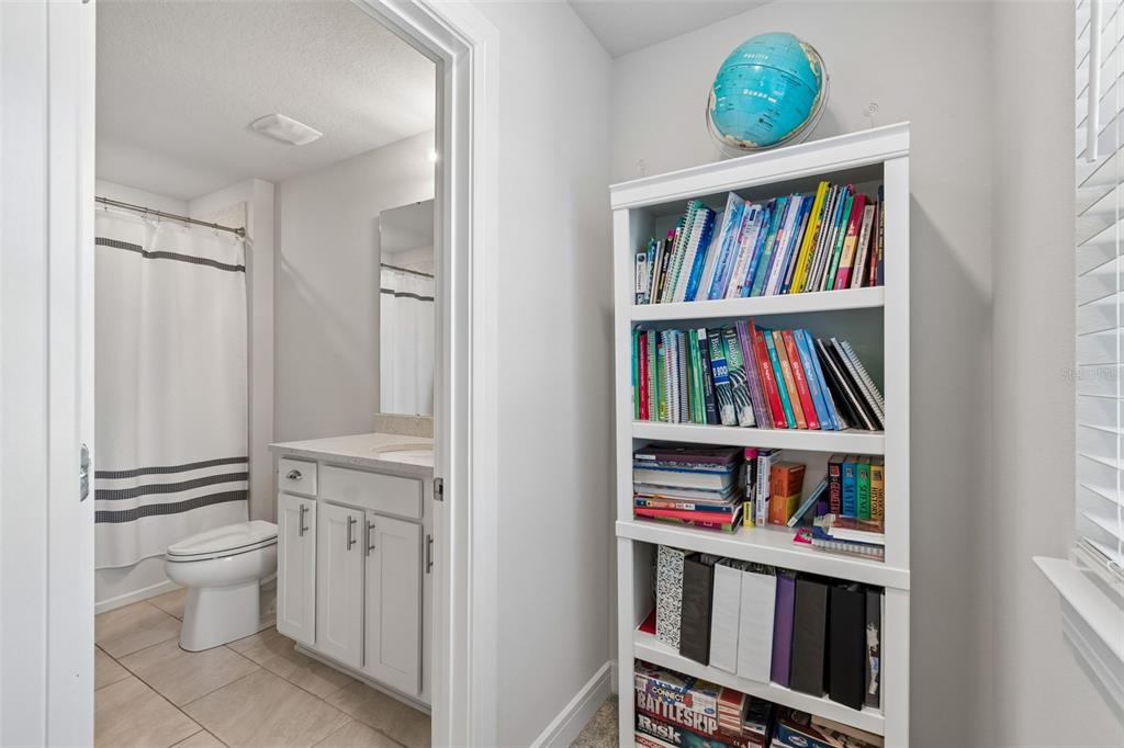 6608 Ryestone Way Wesley Chapel, FL 33545 - Photo 36 of 66 a room with book shelf and a painting on the wall