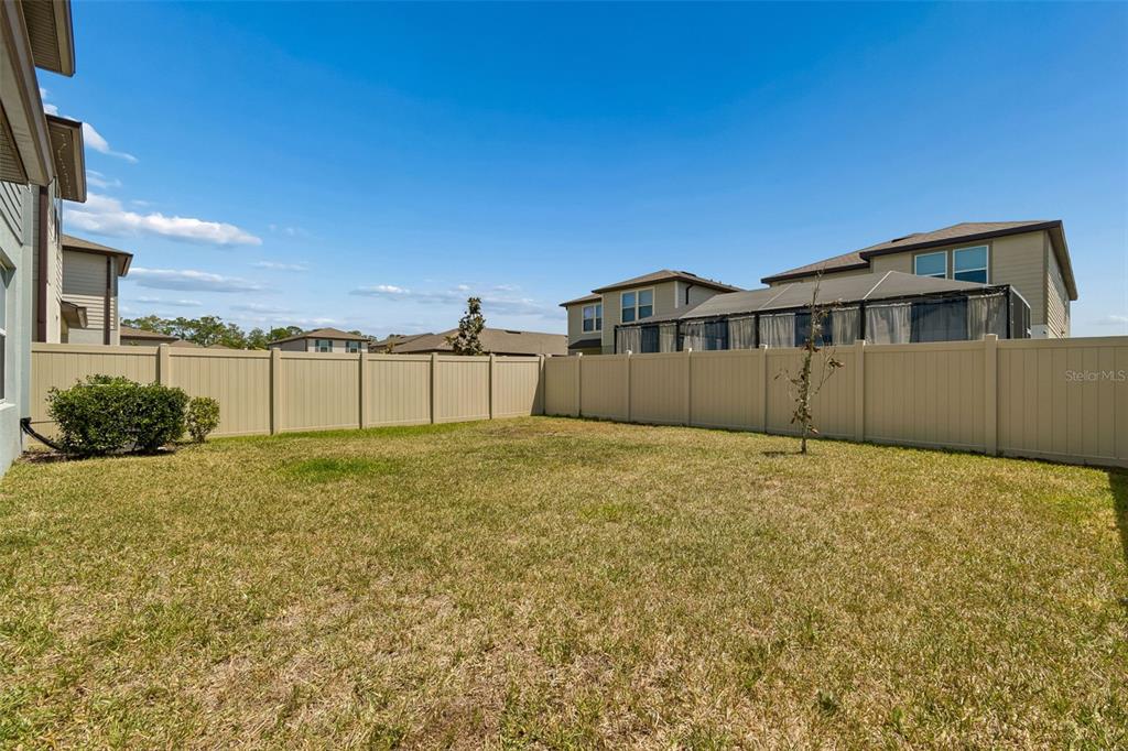 6608 Ryestone Way Wesley Chapel, FL 33545 - Photo 54 of 66 a view of a house with a backyard