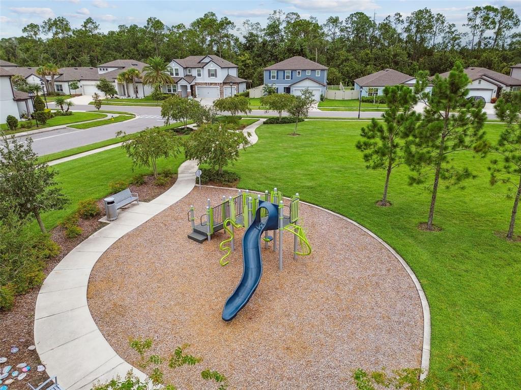 6608 Ryestone Way Wesley Chapel, FL 33545 - Photo 57 of 66 an aerial view of a house with outdoor space