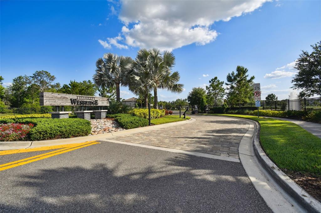 6608 Ryestone Way Wesley Chapel, FL 33545 - Photo 62 of 66 a view of a street with a houses in the background
