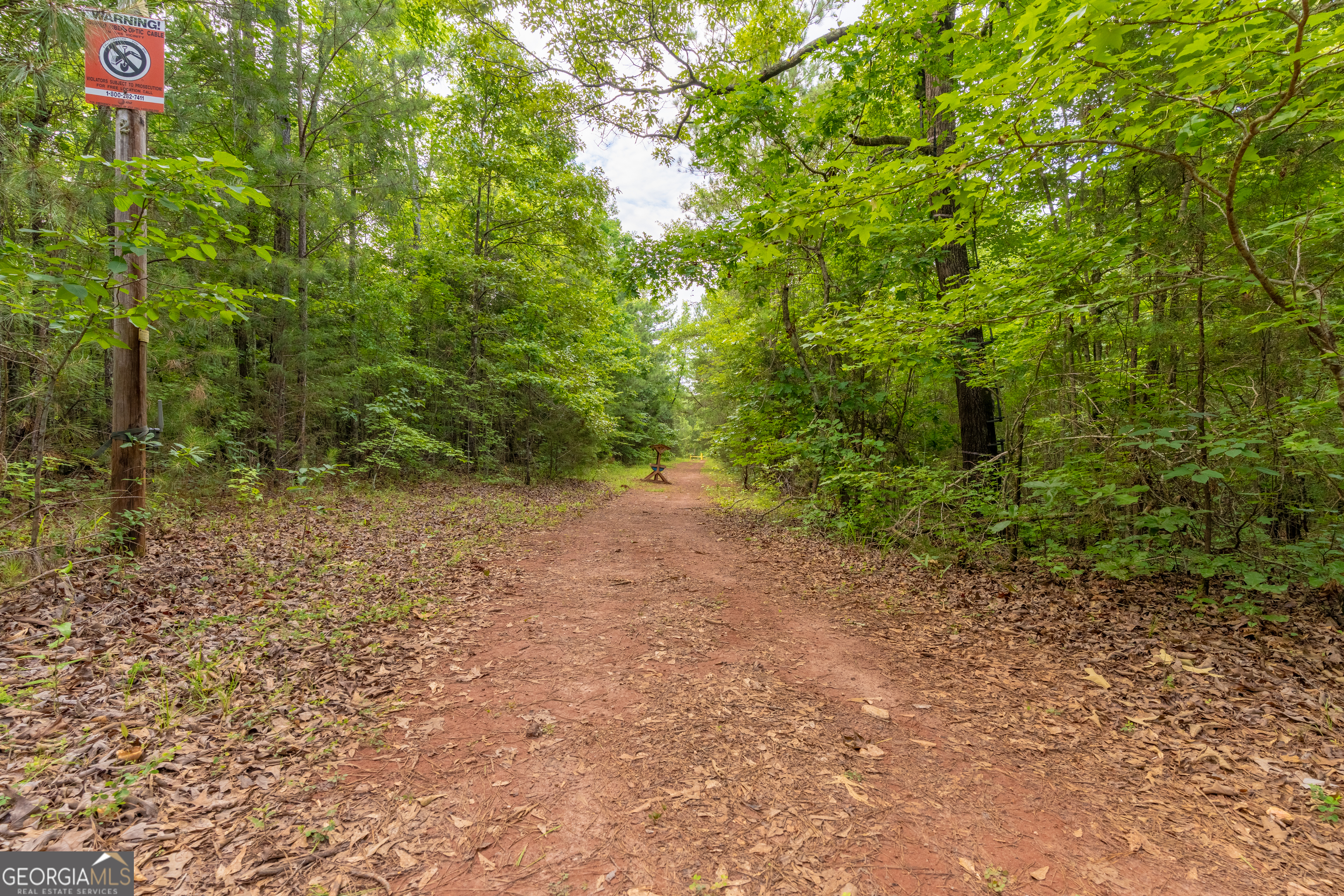 54 Davis Carter Road Monticello, GA 31064 - Photo 57 of 60