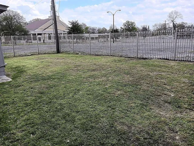 a view of a backyard