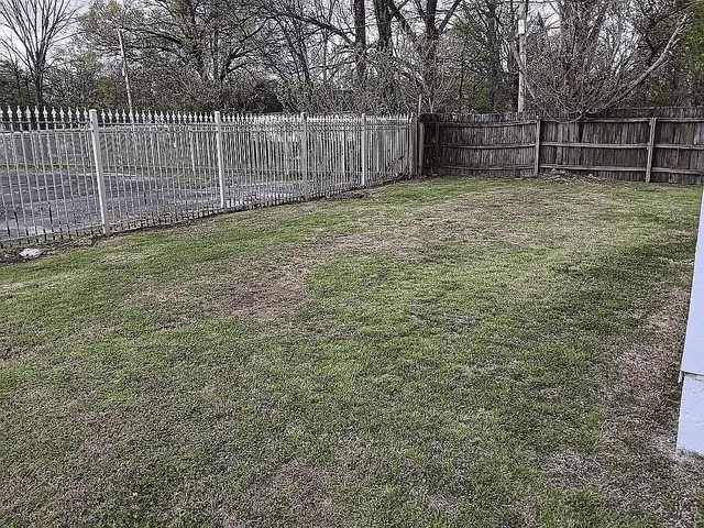 a view of a backyard with wooden fence