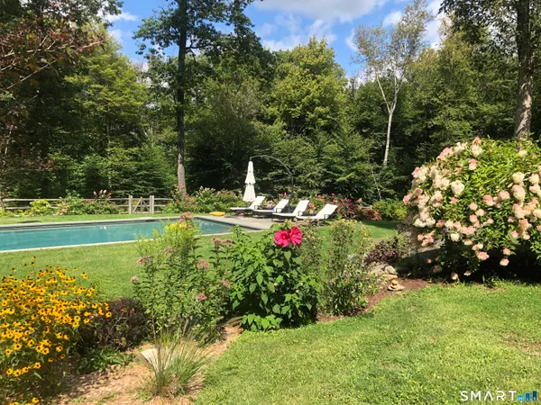 a view of a garden with a bench