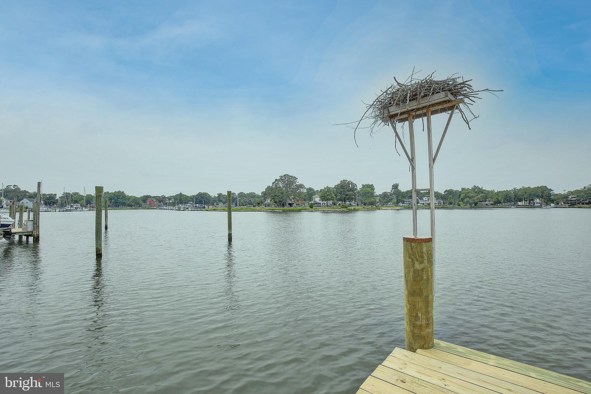 1404 Oak Bluff Road Edgewater, MD 21037 - Photo 44 of 47 Enjoy the wildlife...including ospreys!