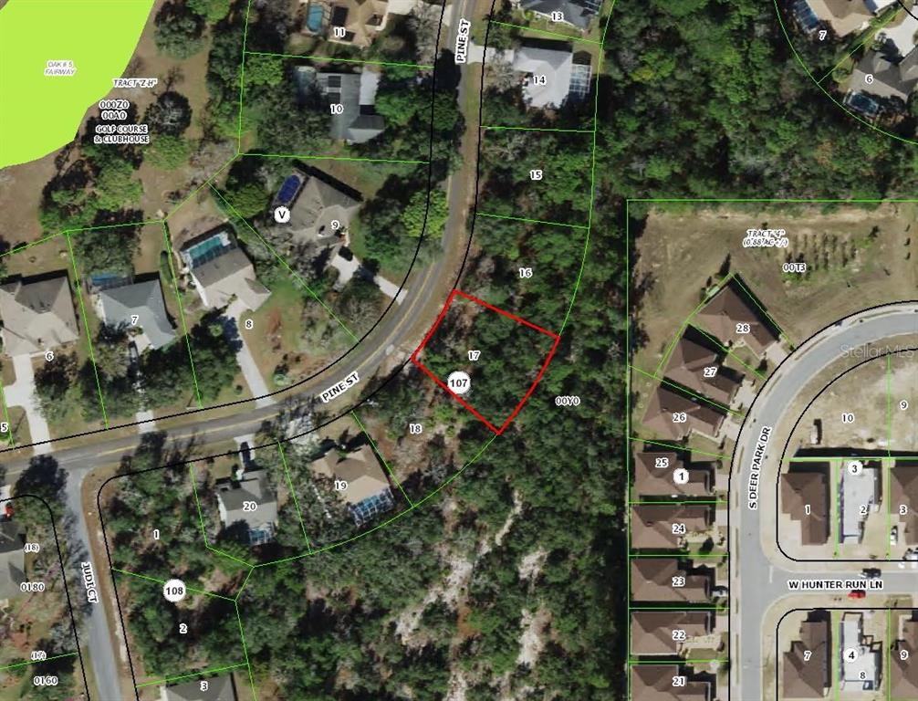 149 Pine Street Homosassa, FL 34446 - Photo 2 of 2