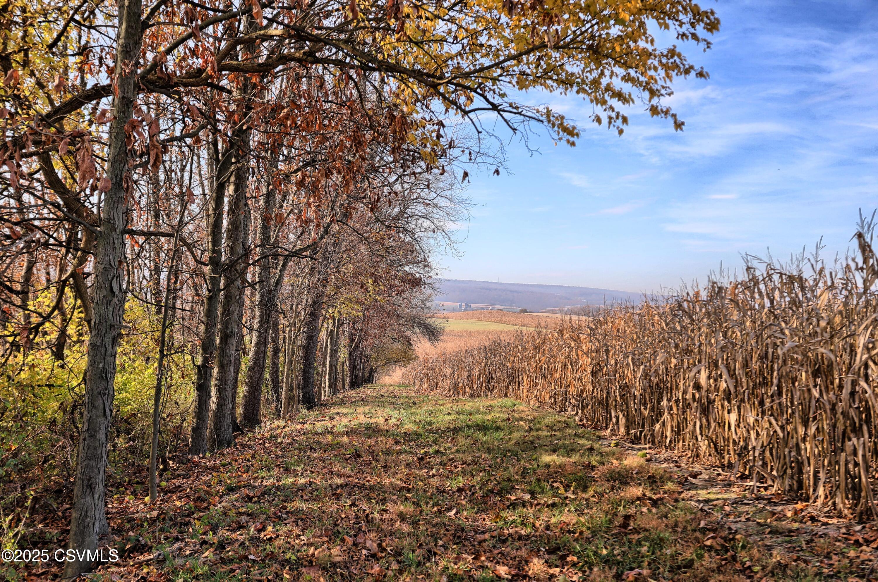 1902 Pheasant Ridge Road Lewisburg, PA 17837 - Photo 51 of 107 Gallery Image 51