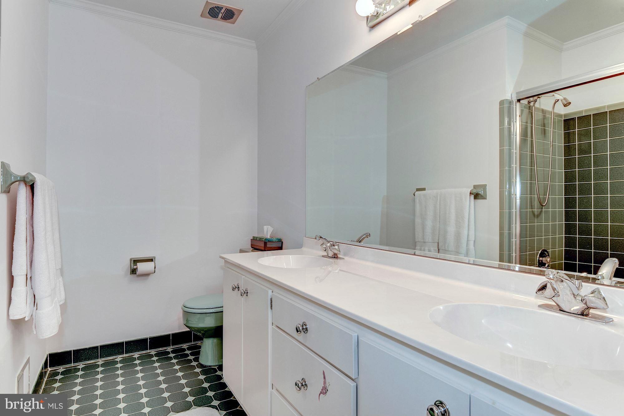 10010 Carter Road Bethesda, MD 20817 - Photo 21 of 30 Bath