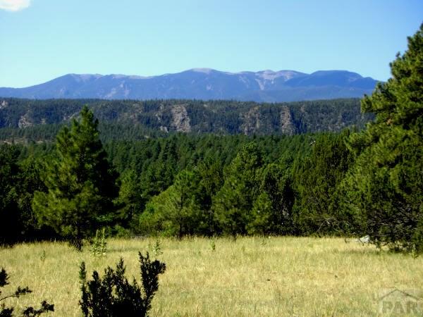 26 Signal Mountain Road Beulah, CO 81023 - Photo 3 of 5