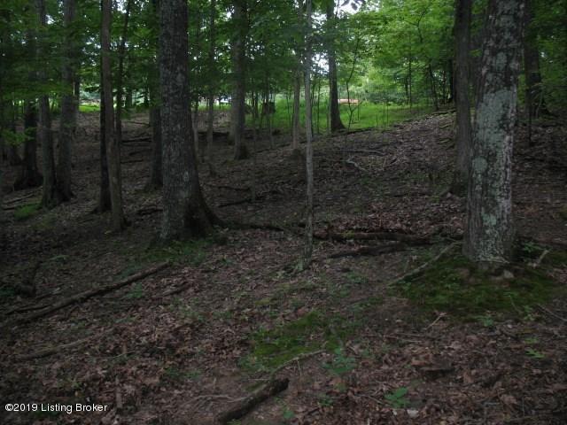 9515 Lawrenceburg Road Chaplin, KY 40012 - Photo 8 of 16 181900