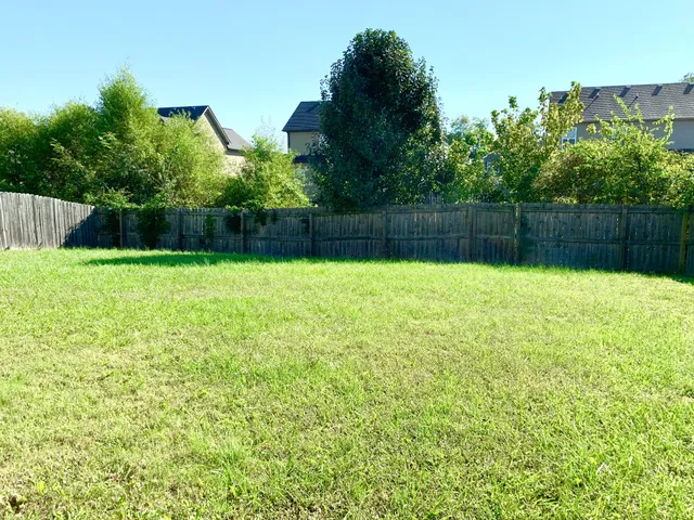 a swimming pool with plants