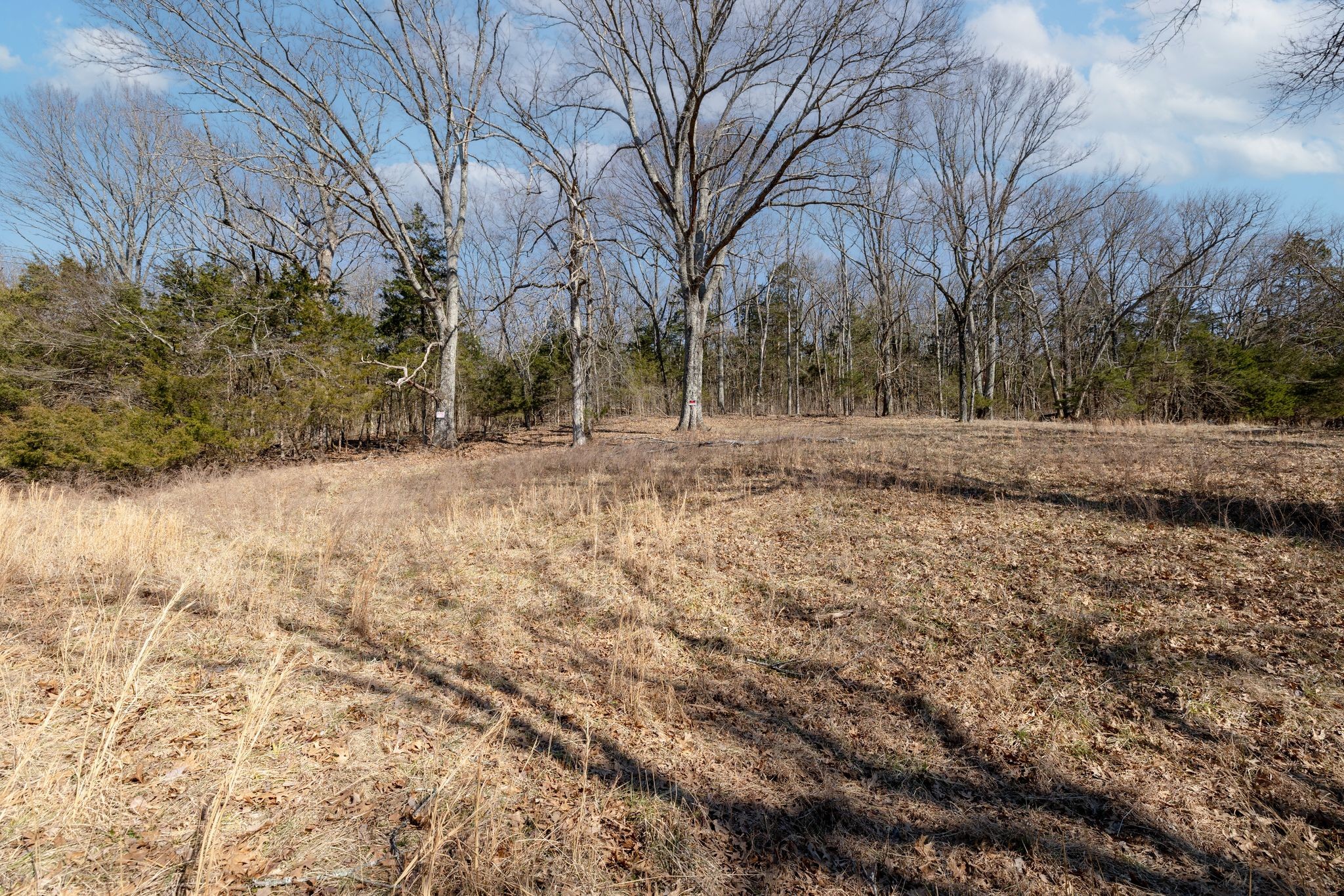 2208 Osburn Road Arrington, TN 37014 - Photo 14 of 35 Gallery Image 14