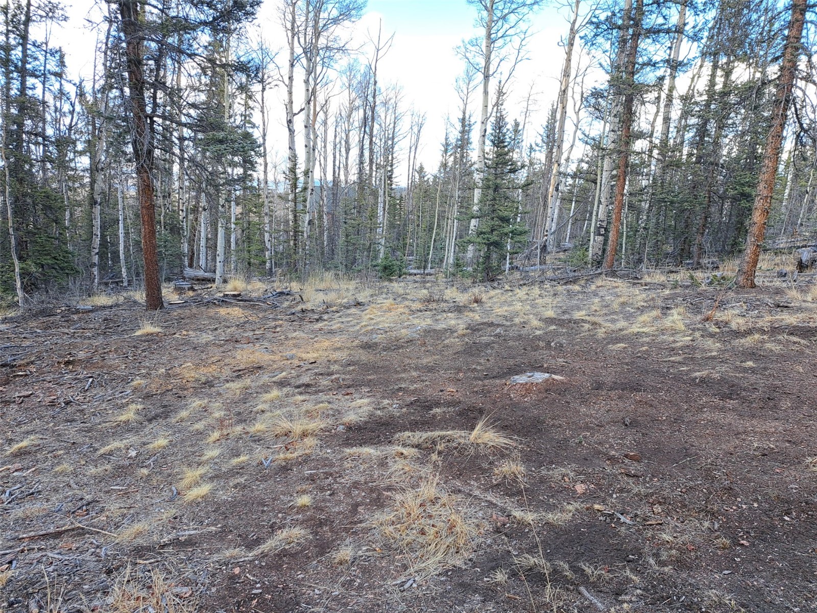 1059 Piaute Way Como, CO 80432 - Photo 16 of 34 a view of a yard with trees in the background