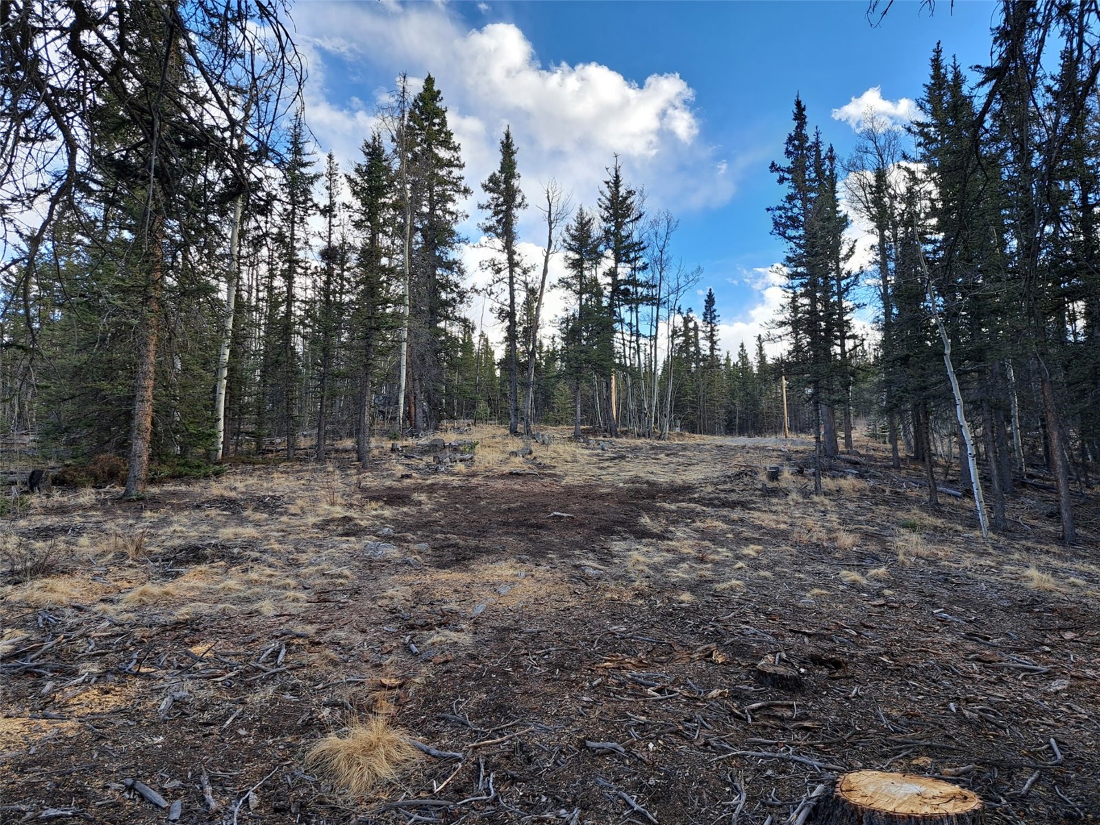 1059 Piaute Way Como, CO 80432 - Photo 18 of 34 a view of a forest with trees in the background