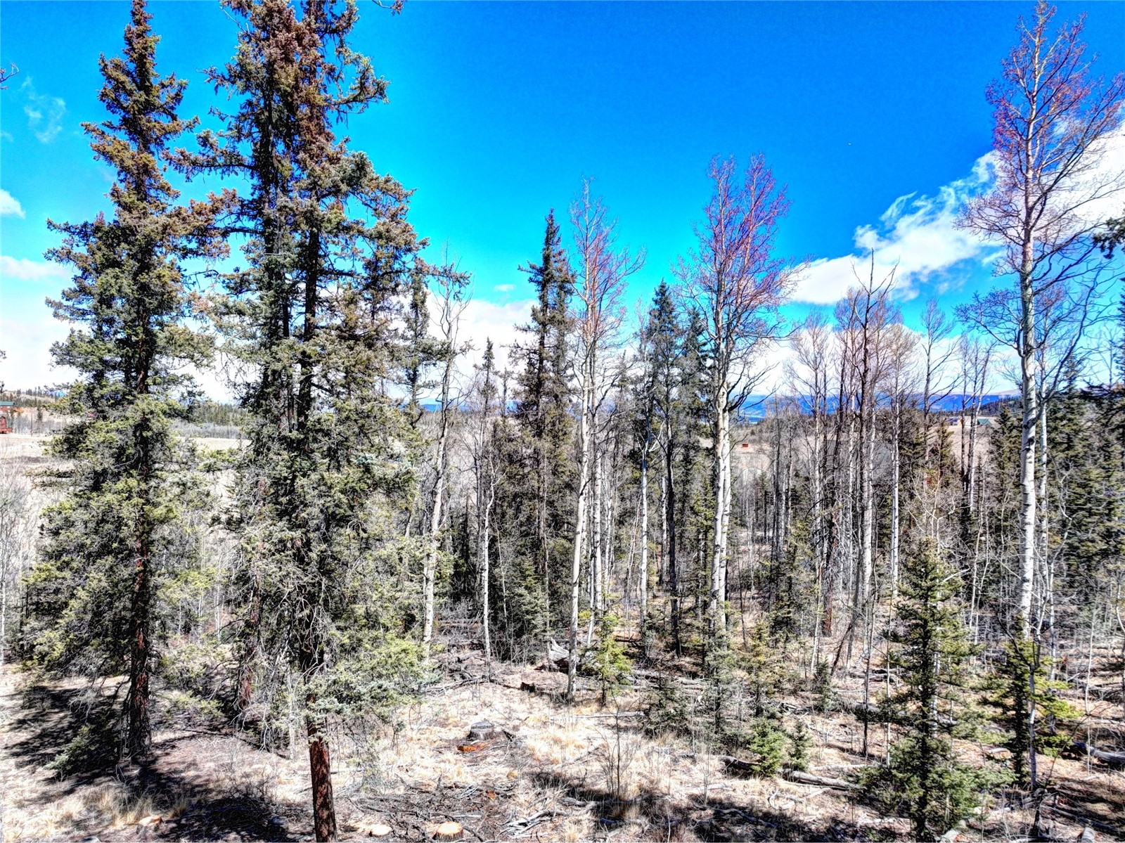 1059 Piaute Way Como, CO 80432 - Photo 2 of 34