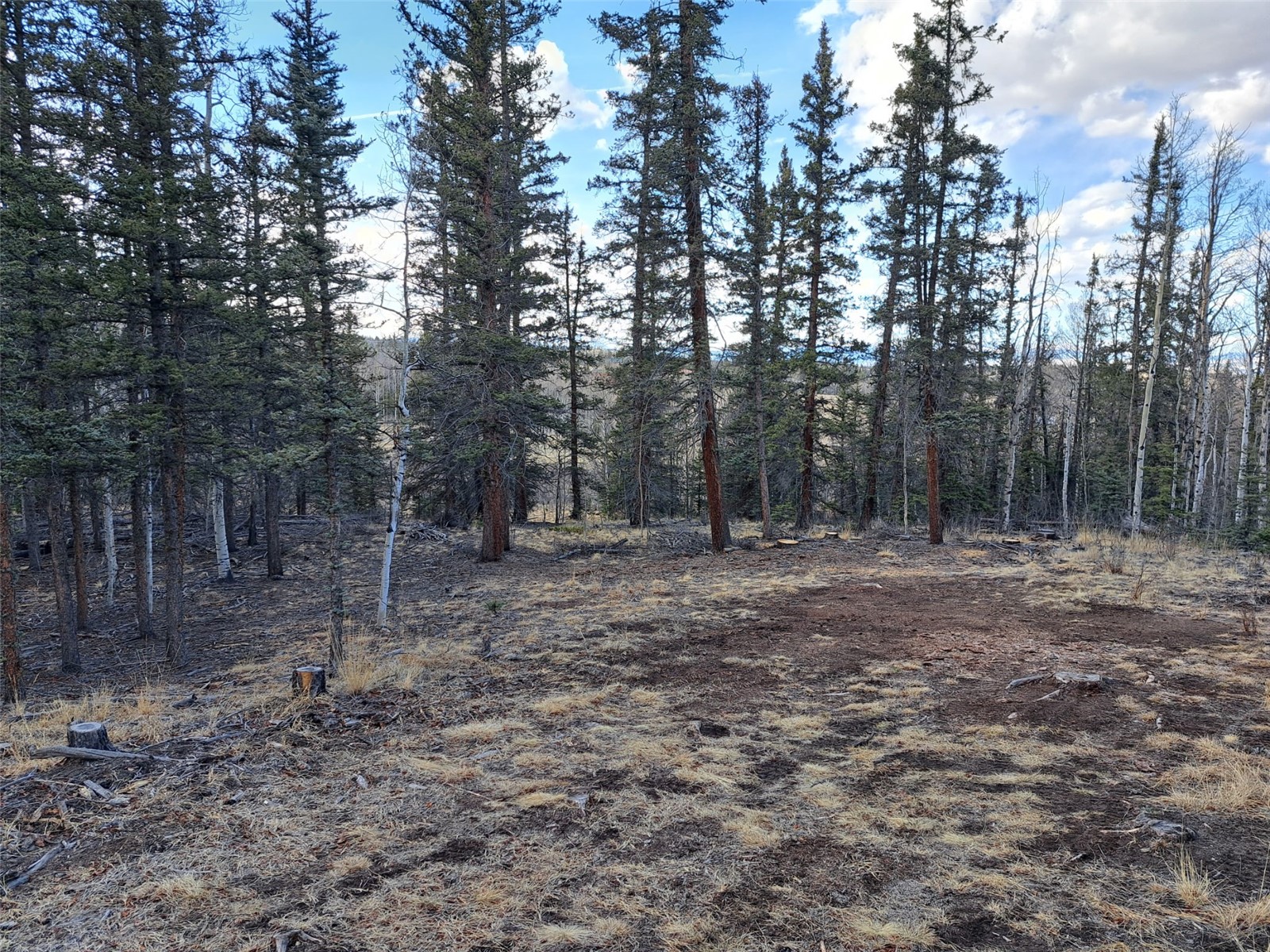 1059 Piaute Way Como, CO 80432 - Photo 25 of 34 a view of a forest with trees in the background