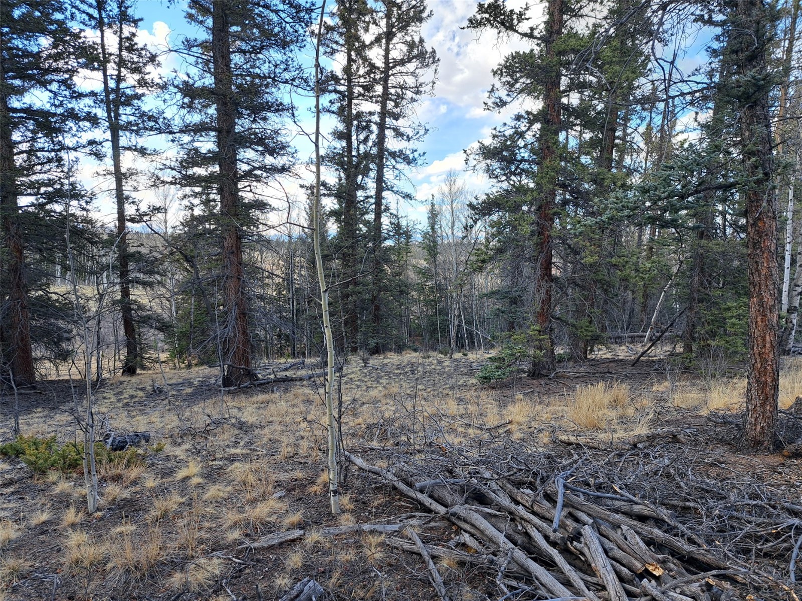 1059 Piaute Way Como, CO 80432 - Photo 30 of 34 a backyard of a house with lots of green space